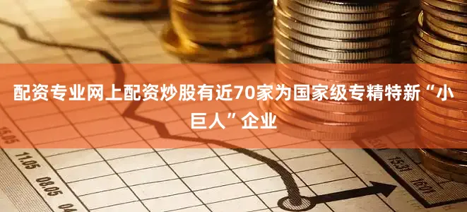 配资专业网上配资炒股有近70家为国家级专精特新“小巨人”企业