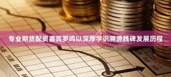 专业期货配资嘉宾罗鸣以深厚学识溯源魏碑发展历程