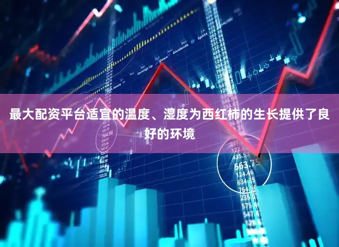 最大配资平台适宜的温度、湿度为西红柿的生长提供了良好的环境