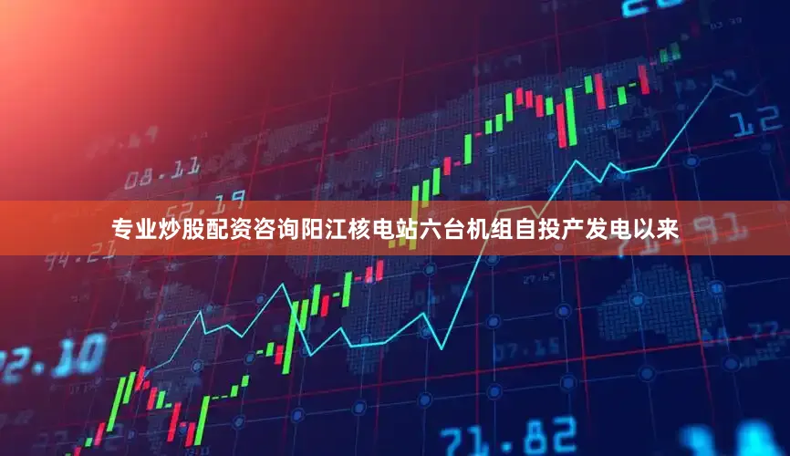 专业炒股配资咨询阳江核电站六台机组自投产发电以来