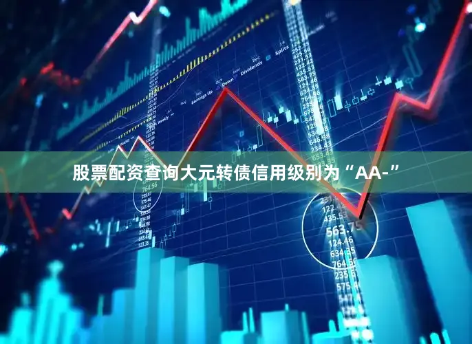 股票配资查询大元转债信用级别为“AA-”
